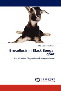 bokomslag Brucellosis in Black Bengal Goat