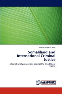 bokomslag Somaliland and International Criminal Justice