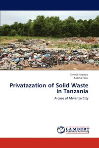 bokomslag Privatazation of Solid Waste in Tanzania