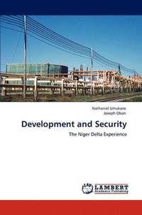 bokomslag Development and Security