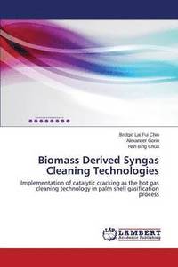 bokomslag Biomass Derived Syngas Cleaning Technologies