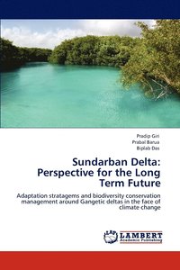 bokomslag Sundarban Delta