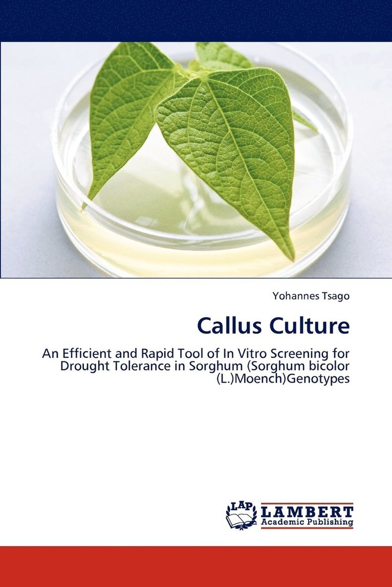 Callus Culture 1
