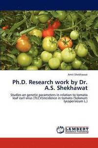 bokomslag PH.D. Research Work by Dr. A.S. Shekhawat