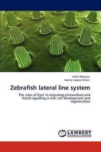 bokomslag Zebrafish Lateral Line System