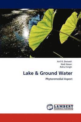 bokomslag Lake & Ground Water
