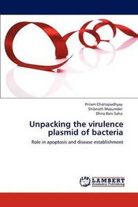 bokomslag Unpacking the Virulence Plasmid of Bacteria