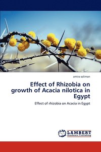 bokomslag Effect of Rhizobia on Growth of Acacia Nilotica in Egypt