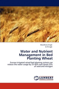 bokomslag Water and Nutrient Management in Bed Planting Wheat
