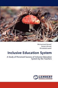 bokomslag Inclusive Education System