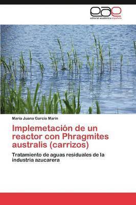 Implemetacin de un reactor con Phragmites australis (carrizos) 1