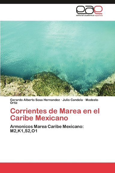 bokomslag Corrientes de Marea En El Caribe Mexicano