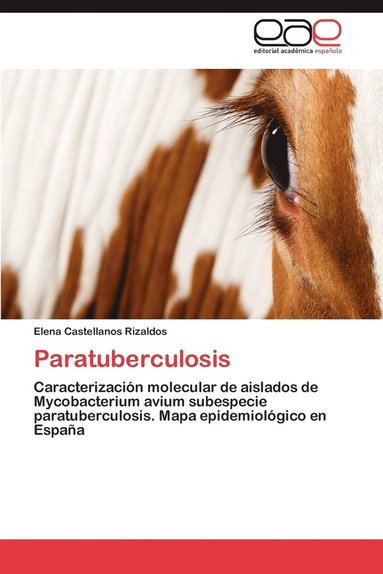 bokomslag Paratuberculosis