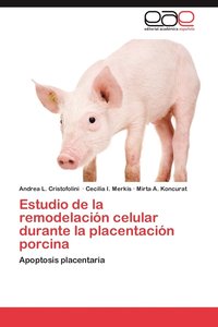 bokomslag Estudio de la remodelacin celular durante la placentacin porcina