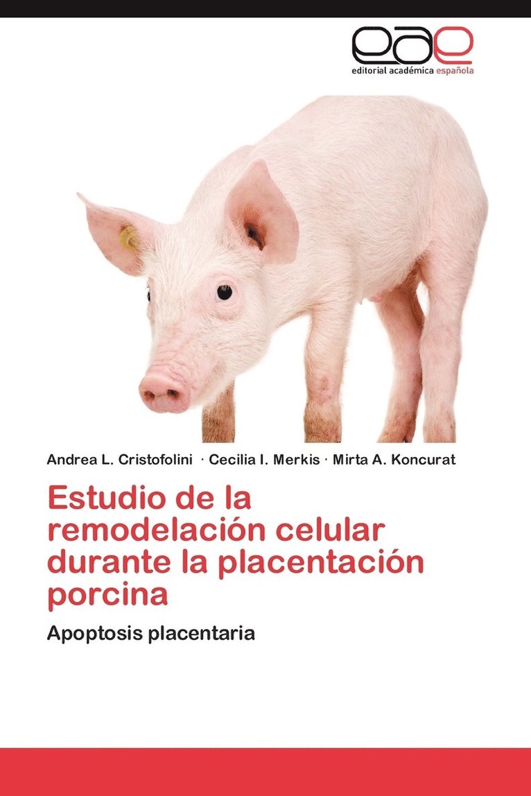 Estudio de la remodelacin celular durante la placentacin porcina 1