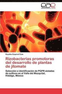 bokomslag Rizobacterias promotoras del desarrollo de plantas de jitomate