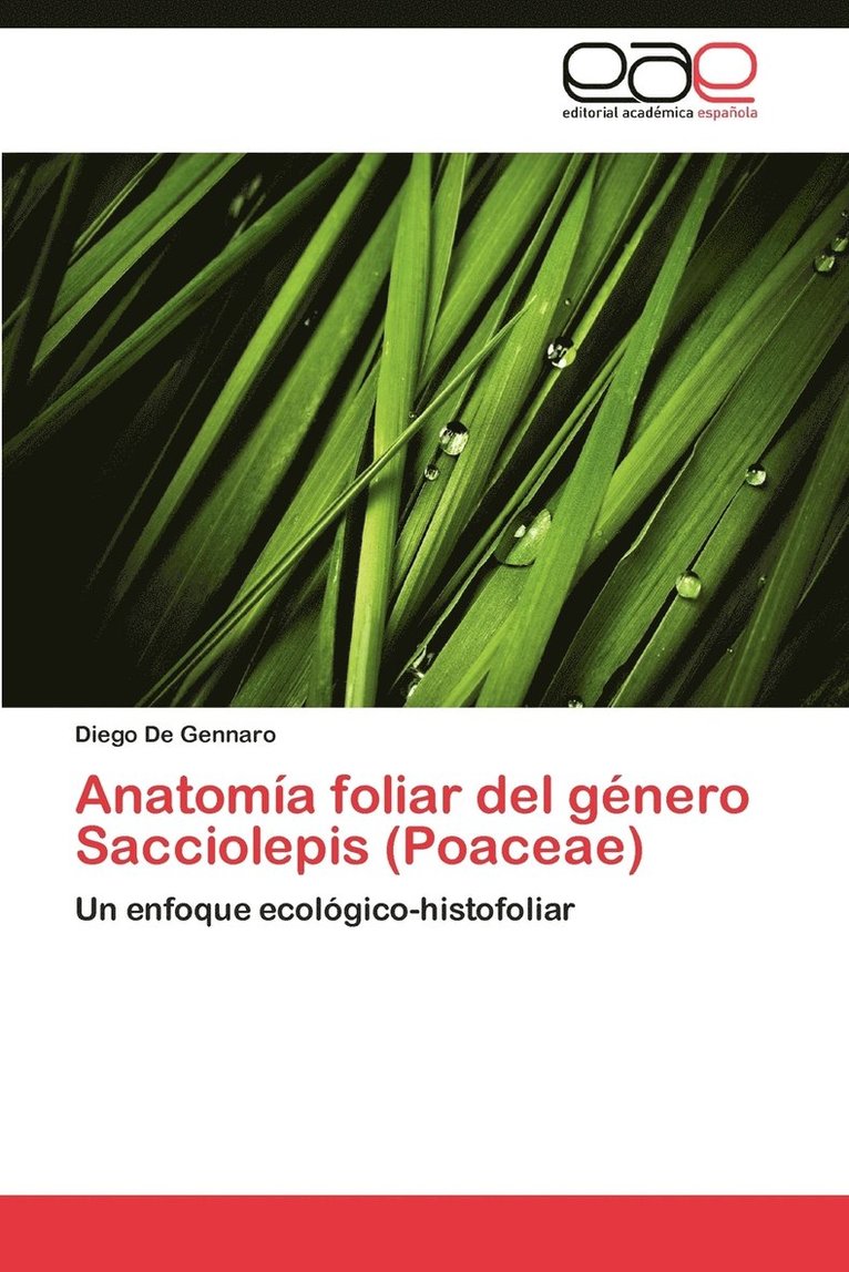 Anatomia Foliar del Genero Sacciolepis (Poaceae) 1