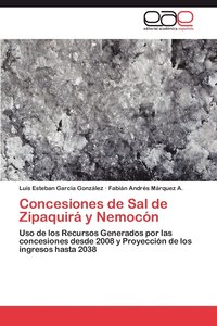 bokomslag Concesiones de Sal de Zipaquir y Nemocn