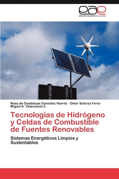 Rosa De Guadalupe Gonz Lez Huerta, Omar Solorza Feria, Miguel A Valenzuela Z - Tecnologias de Hidrogeno y Celdas de Combustible de Fuentes Renovables, Häftad