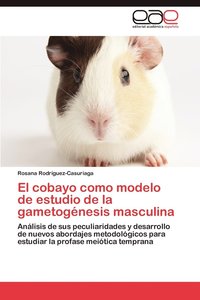 bokomslag El Cobayo Como Modelo de Estudio de La Gametogenesis Masculina