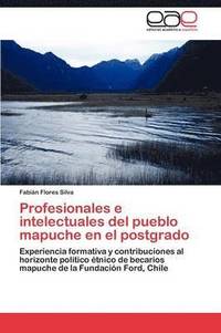 bokomslag Profesionales E Intelectuales del Pueblo Mapuche En El Postgrado