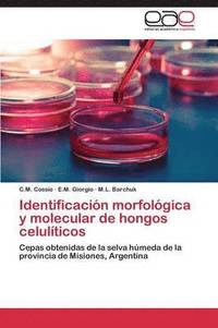 bokomslag Identificacion Morfologica y Molecular de Hongos Celuliticos