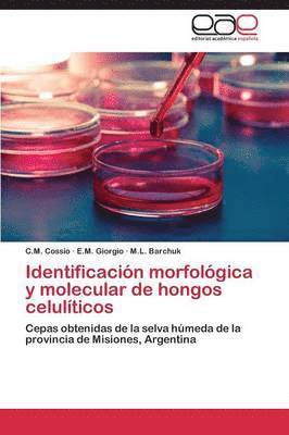 bokomslag Identificacion Morfologica y Molecular de Hongos Celuliticos