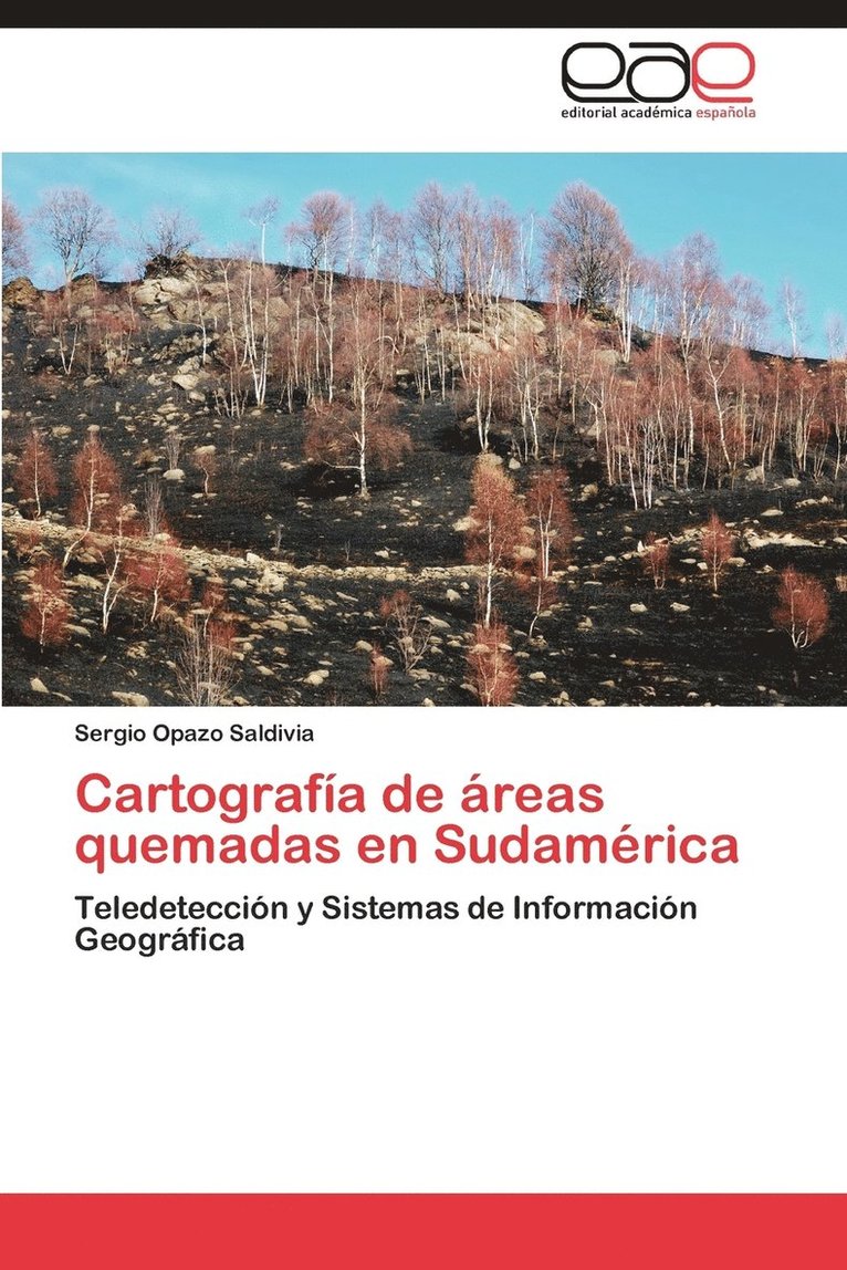 Cartografia de Areas Quemadas En Sudamerica 1