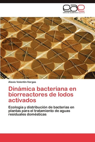 bokomslag Dinmica bacteriana en biorreactores de lodos activados