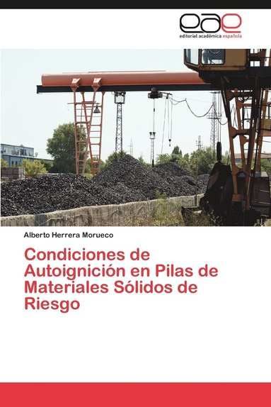 bokomslag Condiciones de Autoignicion En Pilas de Materiales Solidos de Riesgo