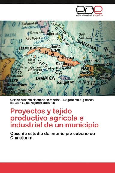 bokomslag Proyectos y tejido productivo agrcola e industrial de un municipio