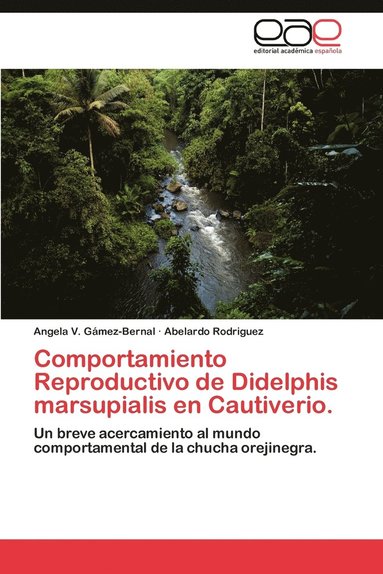 bokomslag Comportamiento Reproductivo de Didelphis marsupialis en Cautiverio.