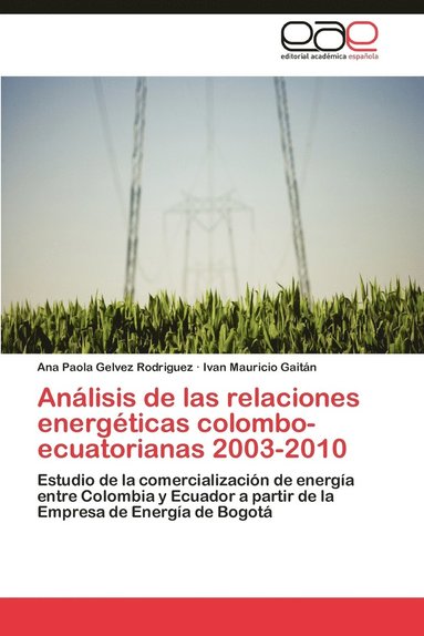 bokomslag Analisis de Las Relaciones Energeticas Colombo-Ecuatorianas 2003-2010