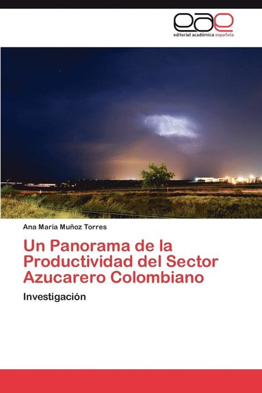 bokomslag Un Panorama de la Productividad del Sector Azucarero Colombiano