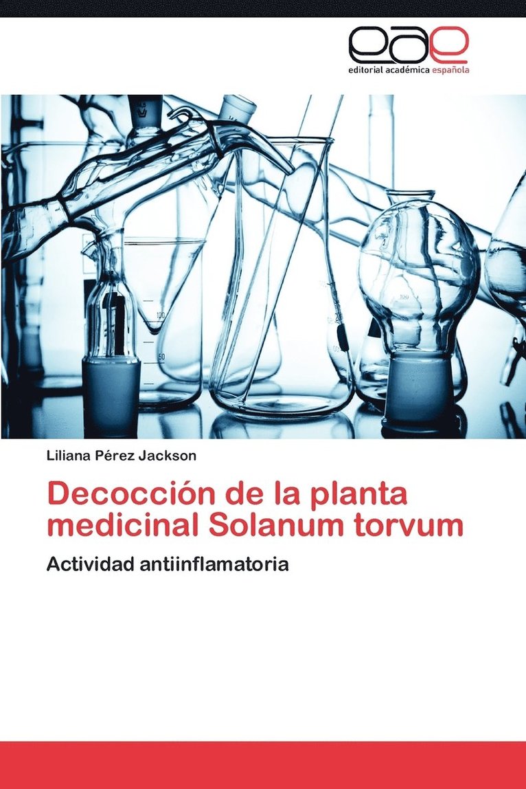 Decoccin de la planta medicinal Solanum torvum 1