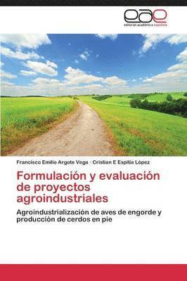 Formulacin y evaluacin de proyectos agroindustriales 1