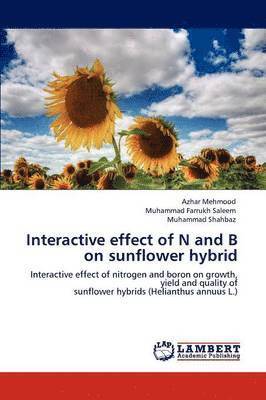 Interactive effect of N and B on sunflower hybrid 1