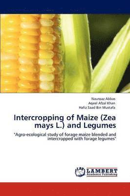 bokomslag Intercropping of Maize (Zea mays L.) and Legumes