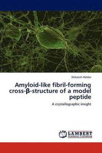 bokomslag Amyloid-like fibril-forming cross-&#946;-structure of a model peptide
