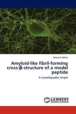 Amyloid-like fibril-forming cross-&#946;-structure of a model peptide 1