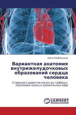 Variantnaya Anatomiya Vnutrizheludochkovykh Obrazovaniy Serdtsa Cheloveka 1