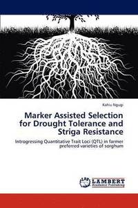 bokomslag Marker Assisted Selection for Drought Tolerance and Striga Resistance