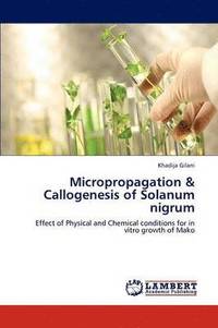 bokomslag Micropropagation & Callogenesis of Solanum Nigrum