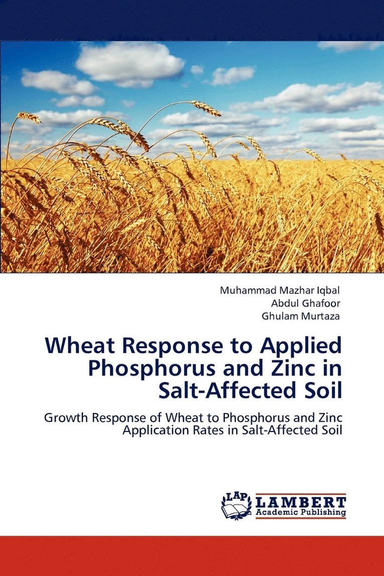 Wheat Response to Applied Phosphorus and Zinc in Salt-Affected Soil 1