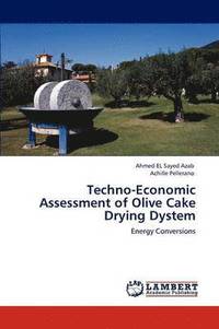 bokomslag Techno-Economic Assessment of Olive Cake Drying Dystem