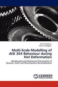 bokomslag Multi-Scale Modelling of AISI 304 Behaviour during Hot Deformation