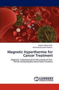 bokomslag Magnetic Hyperthermia for Cancer Treatment