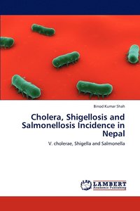 bokomslag Cholera, Shigellosis and Salmonellosis Incidence in Nepal