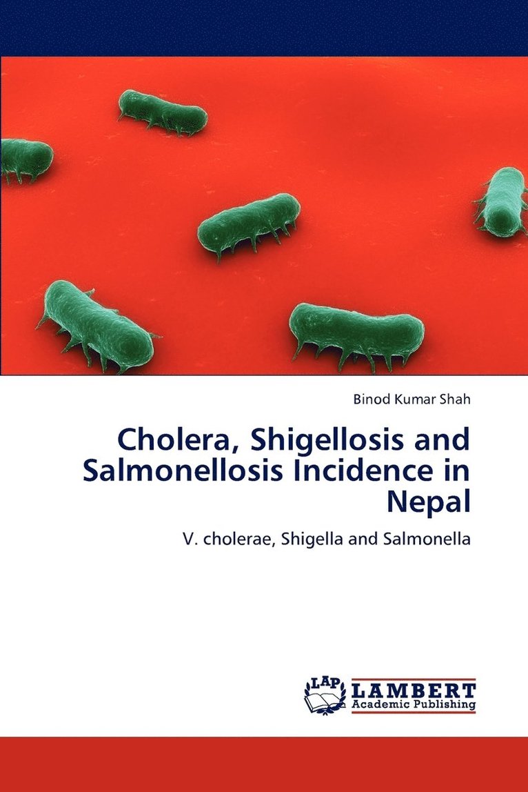 Cholera, Shigellosis and Salmonellosis Incidence in Nepal 1