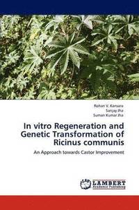 bokomslag In Vitro Regeneration and Genetic Transformation of Ricinus Communis